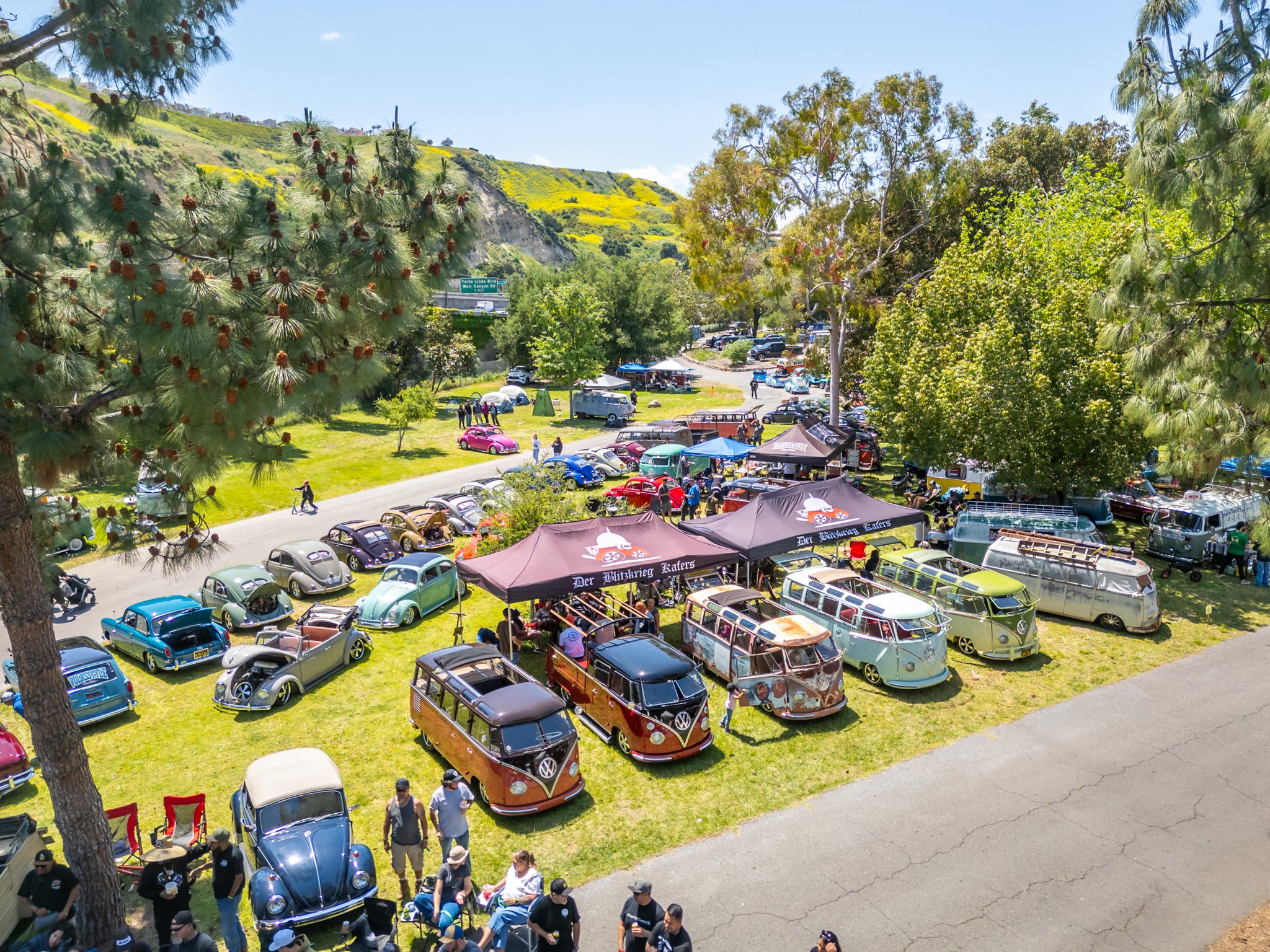 DJI_0487.jpg