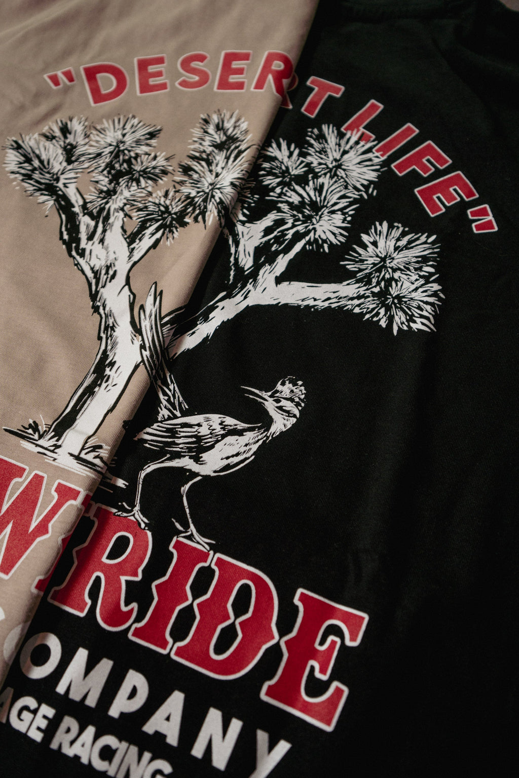 Joshua Tee - Slow Ride